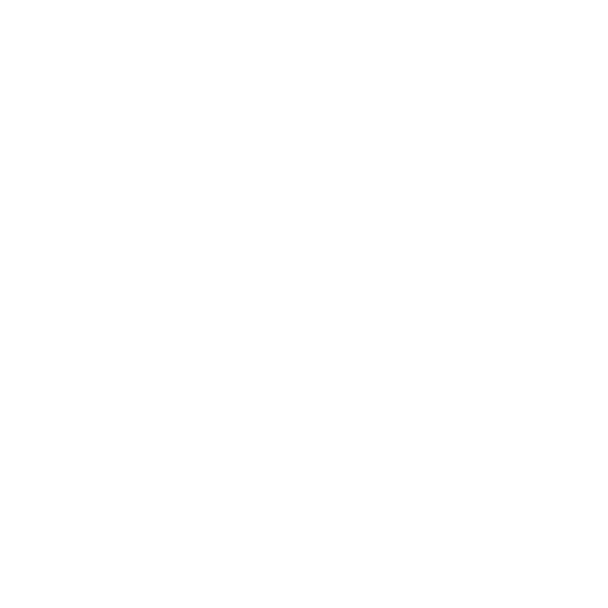 Protocollo Reddito Intelligente
